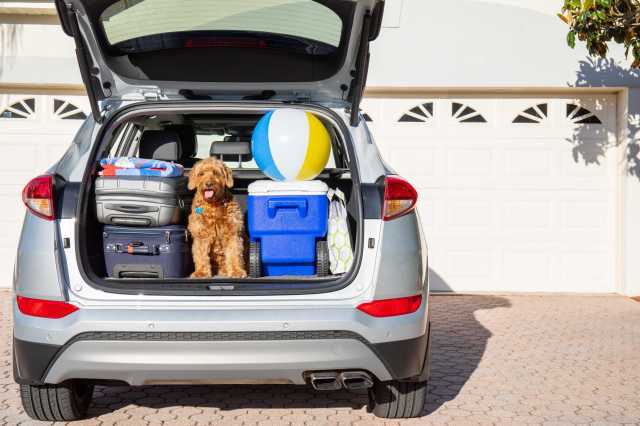 How to Choose the Best Cooler for Your Road Trip Camping Adventures