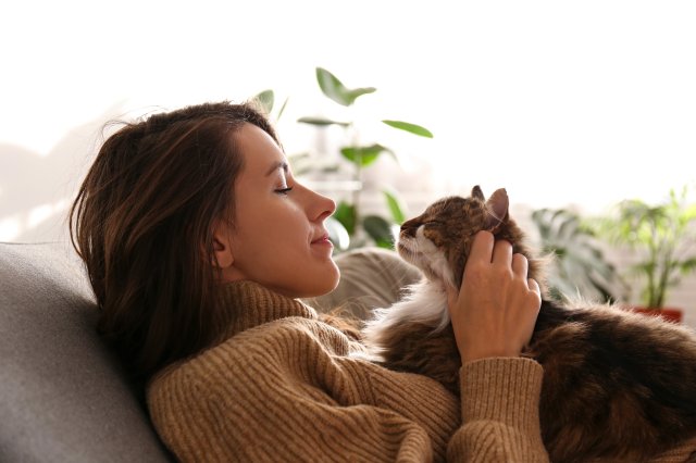How to Choose the Right Pet That Matches Your Daily Routine